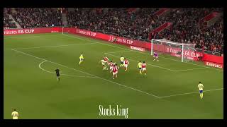 Crazy saints moments#southamptonfc #premierleague 