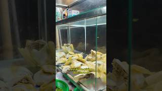 Buradan Yemek Yermiydin? Ğlıklıbeslenme