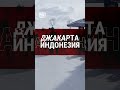 🏆 Более 1,000,000+ игроков откликнулись на вызов. Теперь настало время определить чемпиона!