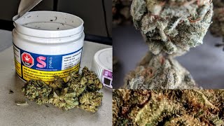 Canadian cannabis review Synr.g pink grapefruit haze.