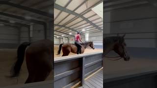 some of our bareback hack from last week 💕 *pre filmed* #horse #equestrian #ottb #blowup #fyp