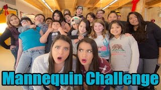 Mannequin Challenge | Baker Twins