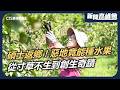 直擊月世界神祕泥火山！冒冷漿淹沒道路變動物天堂？｜台南藝大正妹碩士返鄉 揭祕尼羅河畔惡地農法！驚見「又黑又醜芭蕉」與灰色黏土冰淇淋｜新聞高峰會｜華視新聞 20260628｜月世界 泥火山 地方創生