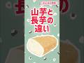 山芋と長芋の違いって？ #グルメ #雑学 #解説