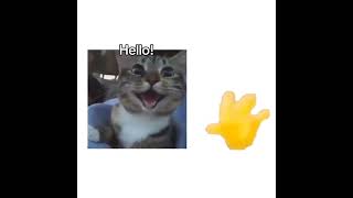 Hello!:)) #memes #funny #xd #gatitos #humor