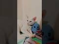 what would you do using fable 5#claude #fable5 #ai #techreels #developer #aiml