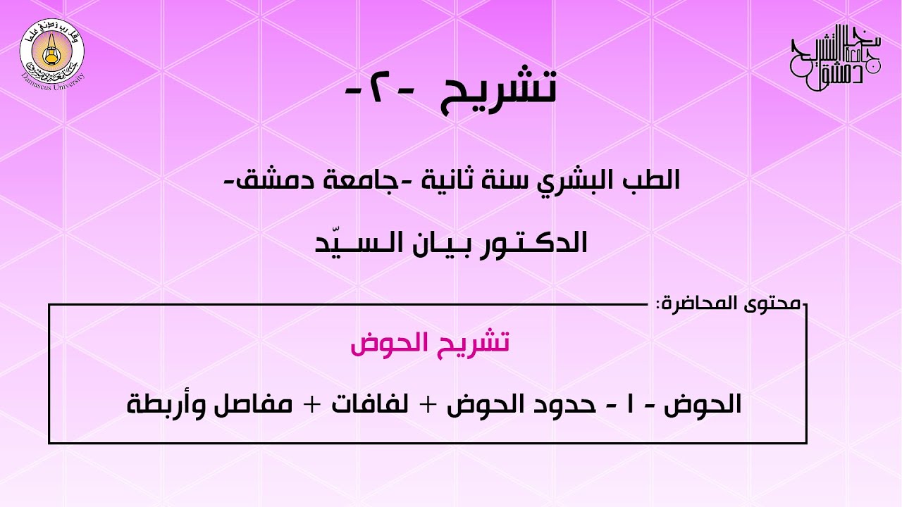 تشريح 2 | الحوض 1 | حدود الحوض - لفافات - مفاصل - أربطة | د.بيان السيد