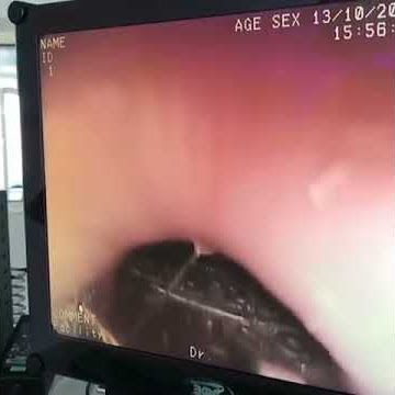 Қыздар порно Порно фильмдерді орыс тіліндегі дубляжбен онлайн көру