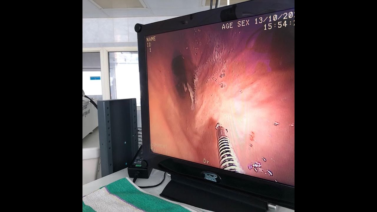 Порно студент географиядан кредит алуға келді. Бір топ адам басына сөмке киген әйелді сиқытып жатыр.