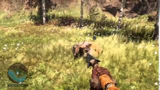 Far Cry Primal Saber Tooth Tiger Vs Boar