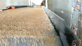Seed gravity separator call 8708525592