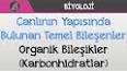 Karbonhidratlar: Canlı Organizmaların Enerji ve Yapısal Bileşenleri ile ilgili video