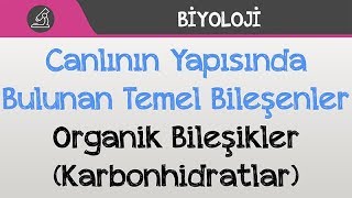 Canlının Yapısında Bulunan Temel Bileşenler - Organik Bileşikler Karbonhidratlar