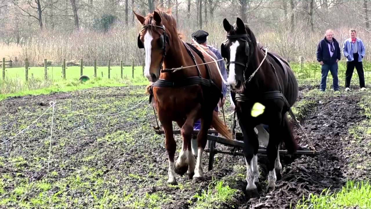 Ploegdag in Leusden 9 4 2016