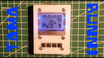Making a Tamagotchi Inspired Device For My Girlfriend