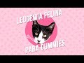 Leucemia felina. ¿Tu gato puede curarse?