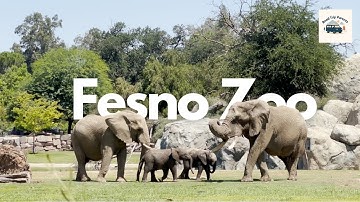 Fresno Chaffee Zoo Kids Friendly Animal Tour