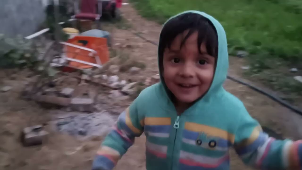 Chote chote doggy de baache 🐕 like and subscribe krlo sare 