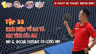 TẬP 33: KHÁI NIỆM VỀ GAI & TÍNH NĂNG ĐẶC BIỆT CỦA GAI DÀI | PIPS & SPECIAL FEATURES OF LONG PIPS