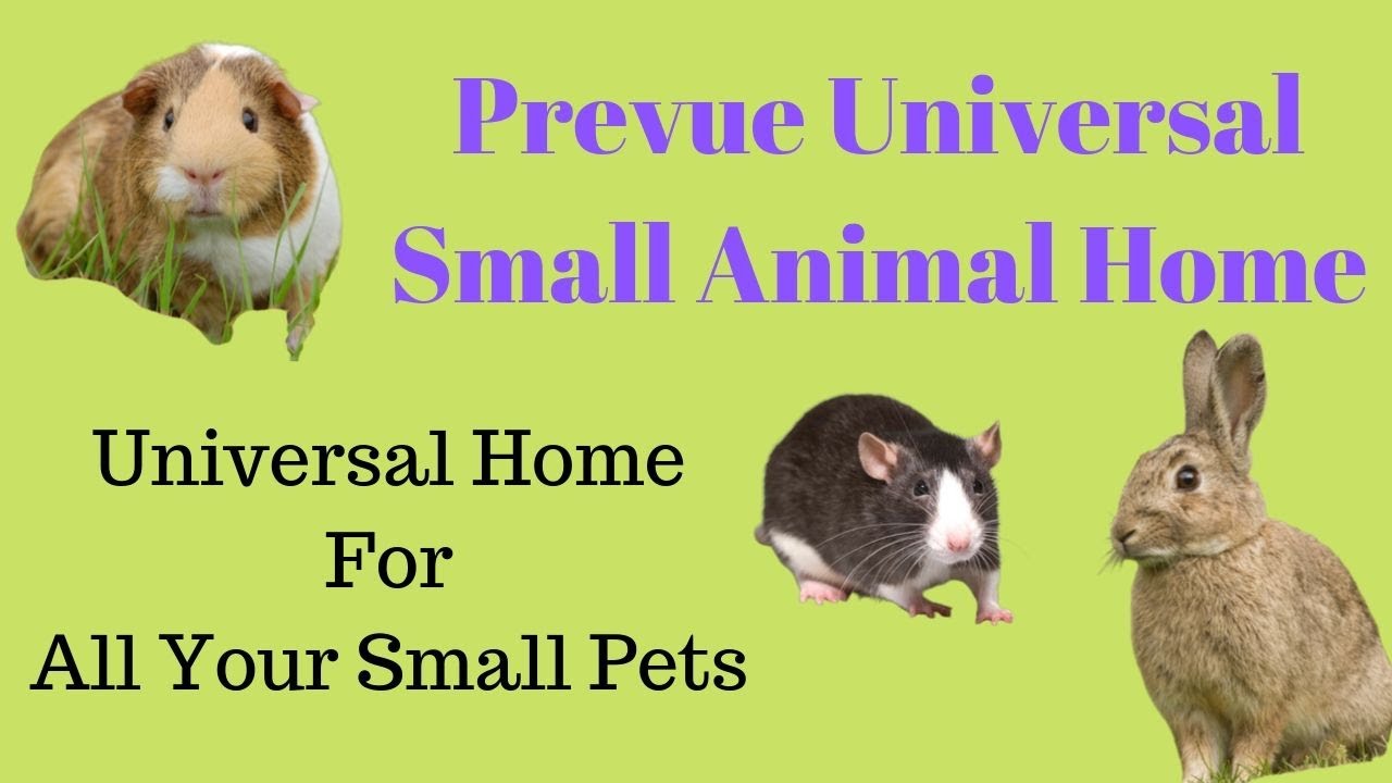 Prevue Universal Small Animal Home 528 universal small animal home