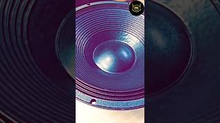 Atipro 21 Inch Neodymium Speakertrendingshorts atiprounboxing