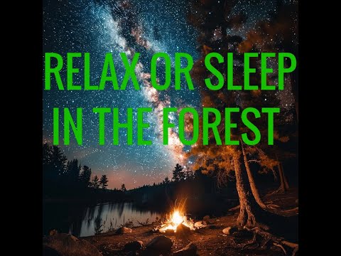 ULTIMATE FOREST NIGHT