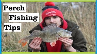 Perch Fishing-Boosting Prawn Hook Baits (Quick Tip)