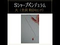 Sシャープペンデュラム(日本ダウザー協会オリジナル)