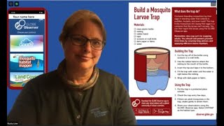 Build a Mosquito Larvae Trap
