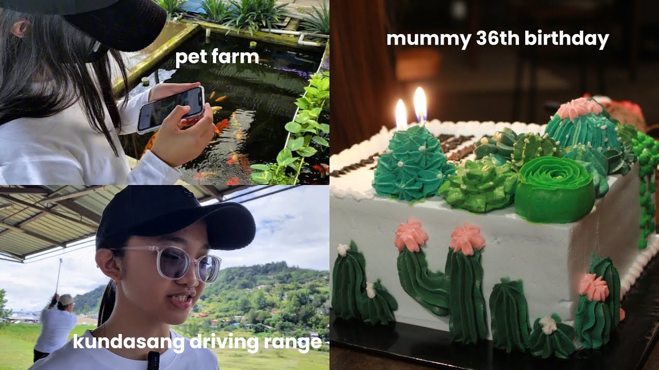 DAY–1 OF OUR HOLIDAY KENINGAU – KUNDASANG VLOG | pet shop, golf, roomtour, birthday dinner, unboxing