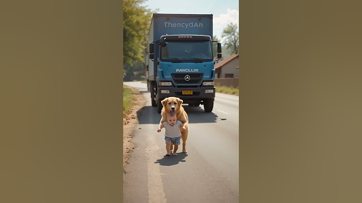Brave Dog Gently Guides Baby Away from Busy Road 🚚🐶  Must-See Protective Moment!