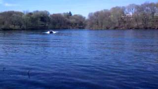 Mini boat fun jet