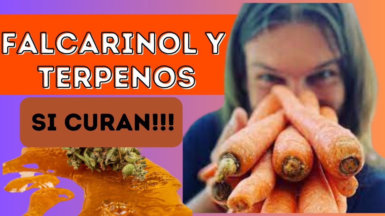 🥕 El Jugo de Falcarinol y Terpenos y La CONCIENCIA | Dr. Ludwig Johnson