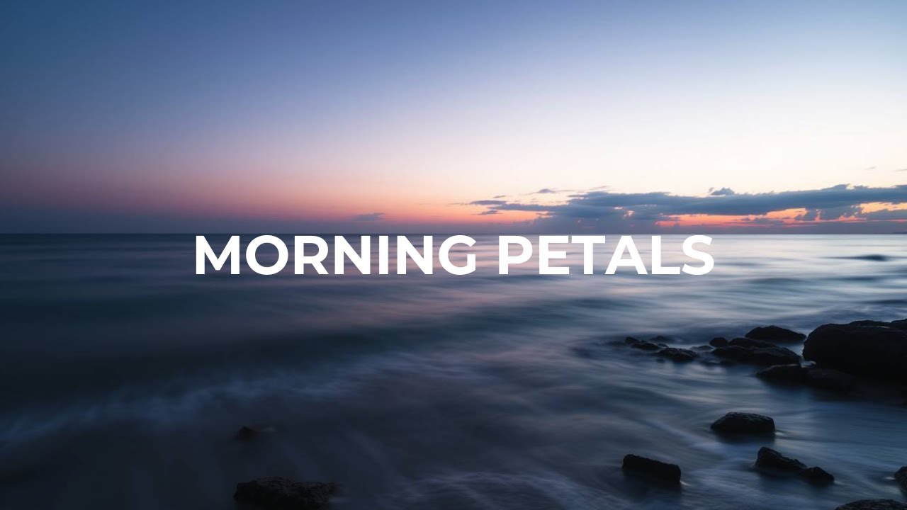 Daily Music Zone – Morning Petals [Oriental Chill Deep House | Japanese Koto & Soft Vocals]