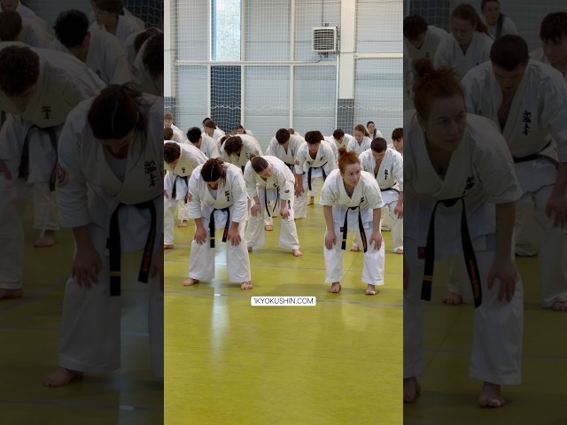 Baltic Fighting Camp 2026 #kyokushin #shinkyokushin #karate #1kyokushin #一極真 #極真会館