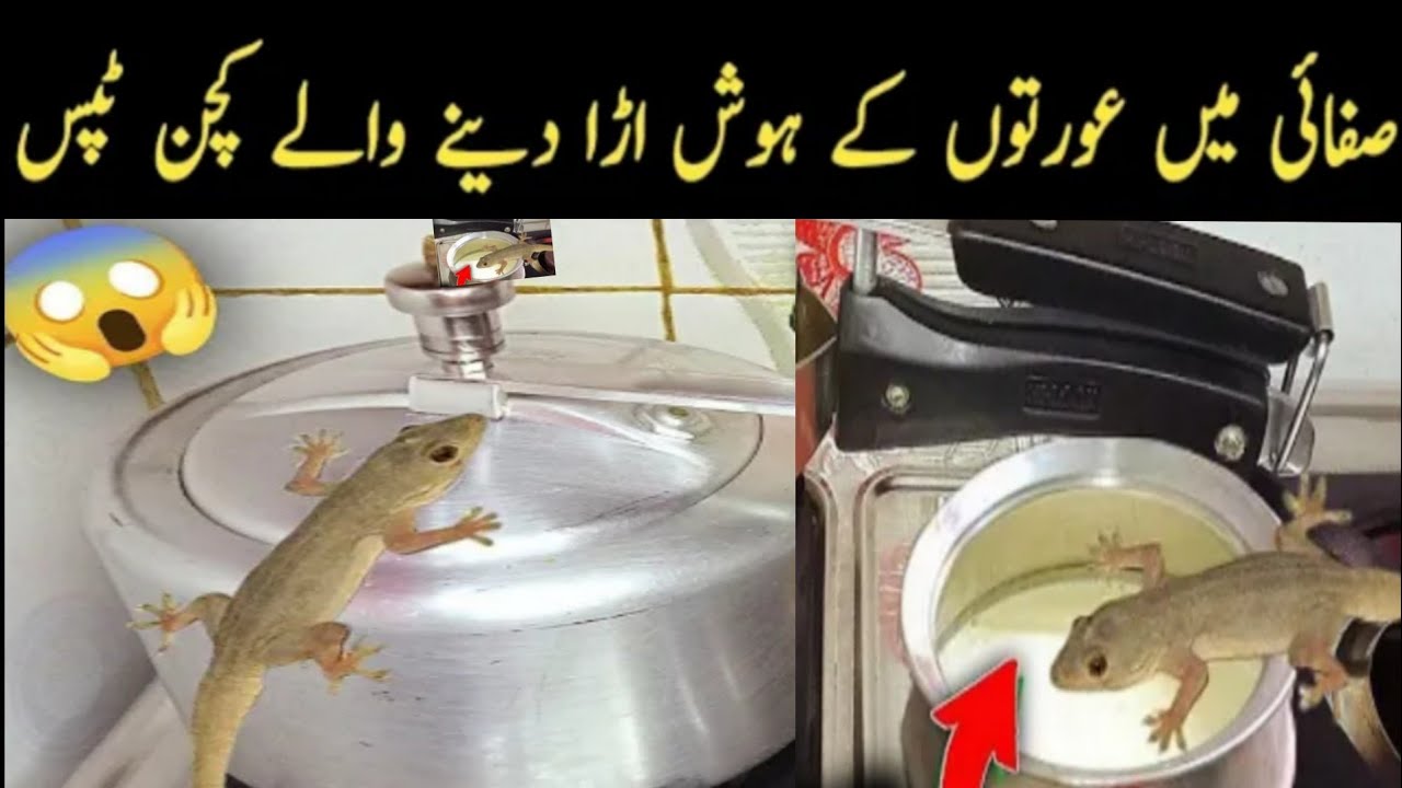 8 Outstanding kitchen  Cleaning Tips