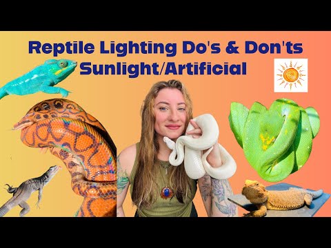 Sunlight & Artificial Light Do’s and Don’ts!