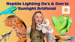 Sunlight & Artificial Light Do’s and Don’ts!