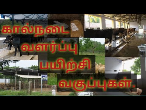 கால்நடை வளர்ப்பு பற்றிய பயிற்சி வகுப்புகள் || Farm training