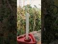 DIY candle stand...#diyideas #diyart #shortvideos  #youtubeshortsfeed #clayartist #clay