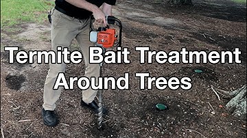How to Instal Termite Bait Stations Around Trees: Part 1 General In-ground Placement