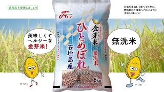 令和3年産 金芽米 石垣島産ひとめぼれ発売について