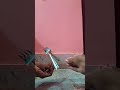 Wait for end physics #experimnent #youtubers #shorts