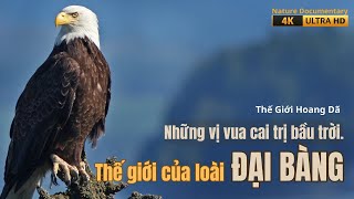 Những vị vua cai trị bầu trời | Thế giới của loài Đại Bàng. #thegioihoangda