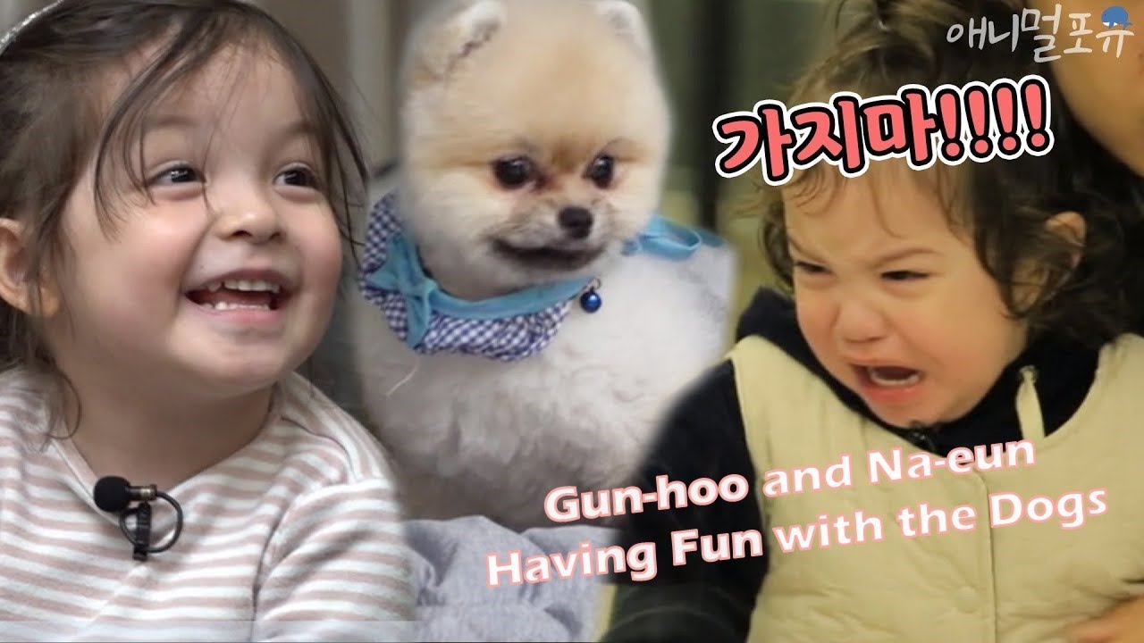 🚚(요청영상)(ENG CC)건후와 나은이를 웃고 울게 만든 댕댕천사들♡ 건나블리가 강아지와 이별하는 법 [슈퍼맨이 돌아왔다], KBS 190602 방송