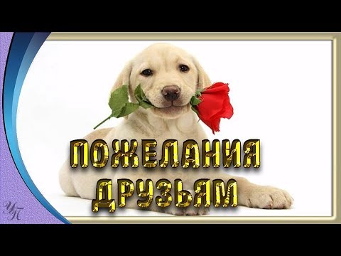 ПОЖЕЛАНИЯ ДРУЗЬЯМ ПОЗИТИВ