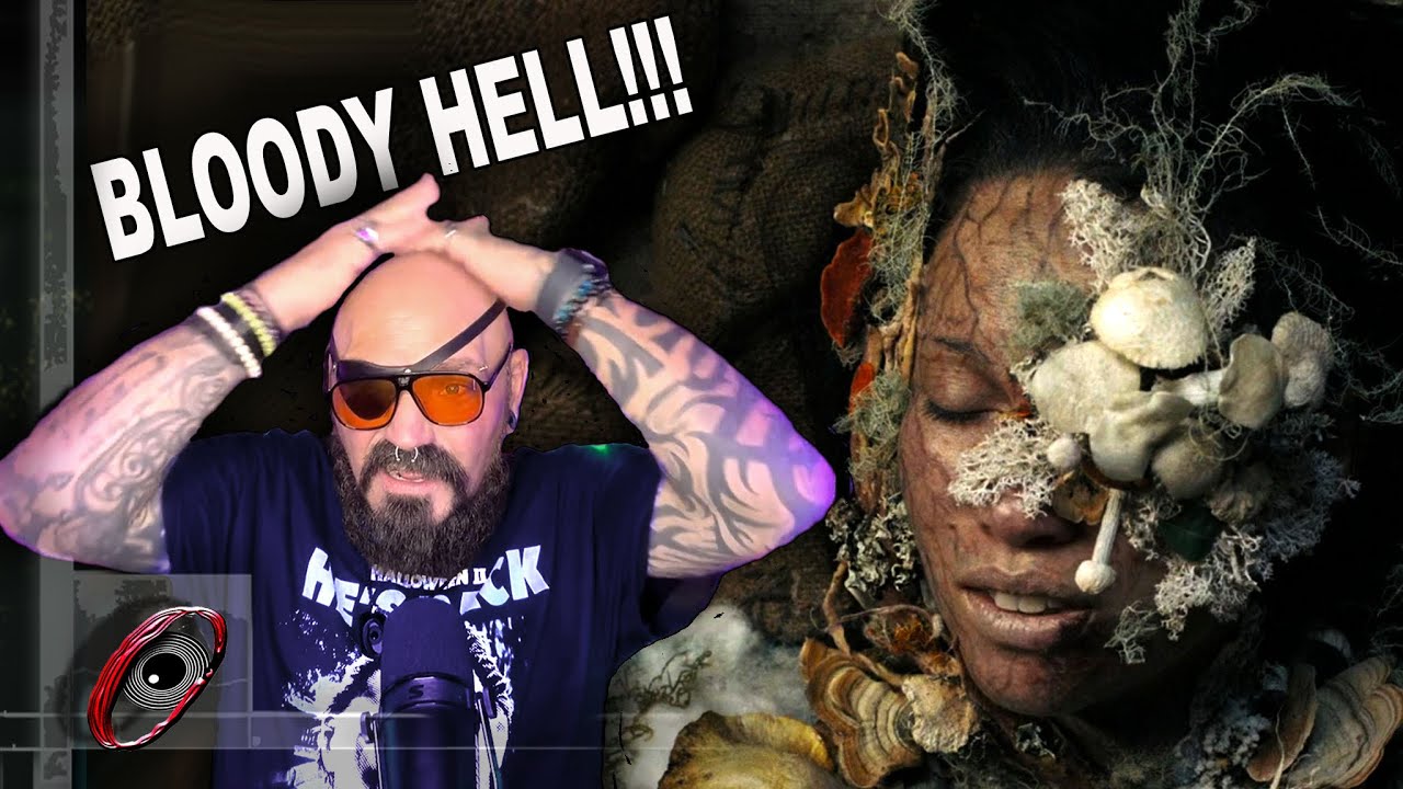 Экологические фильмы ужасов, которые будут вас преследовать.