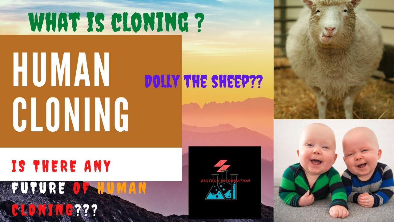 Cloning Human clone Dolly the sheep Ethics About human cloning