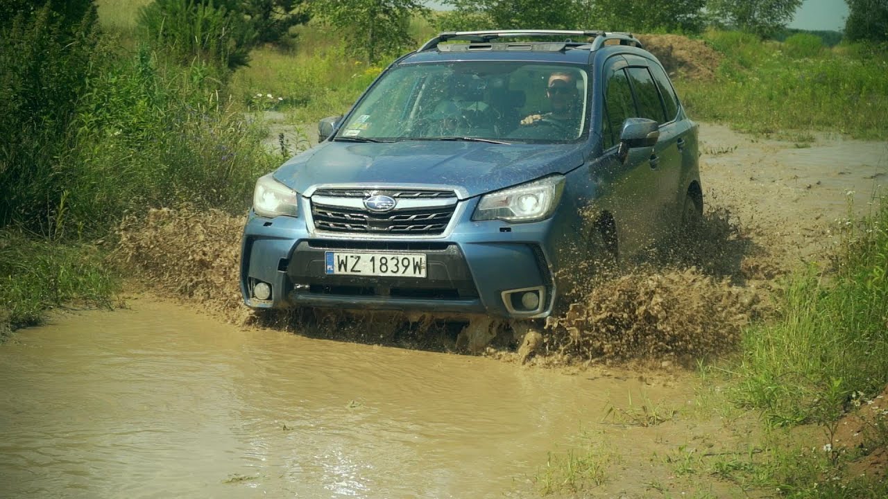 Subaru Forestery w terenie. Testy Terenwizji
