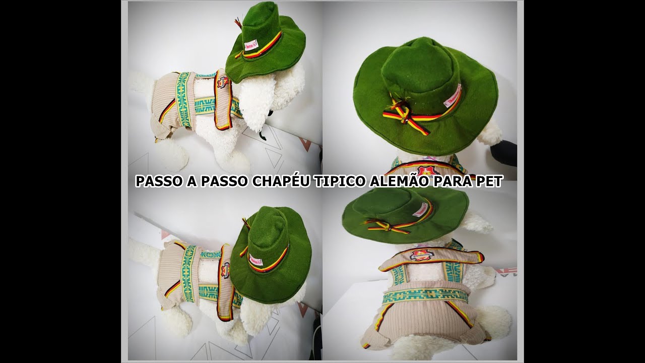 CHAPÉU TIPICO ALEMÃO PARA PET